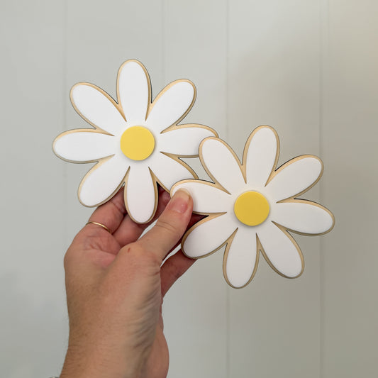 Wall Flowers - Daisies